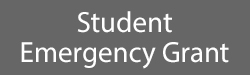 Immediate Need Grant